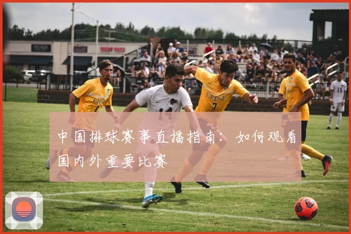 中国排球赛事直播指南：如何观看国内外重要比赛
